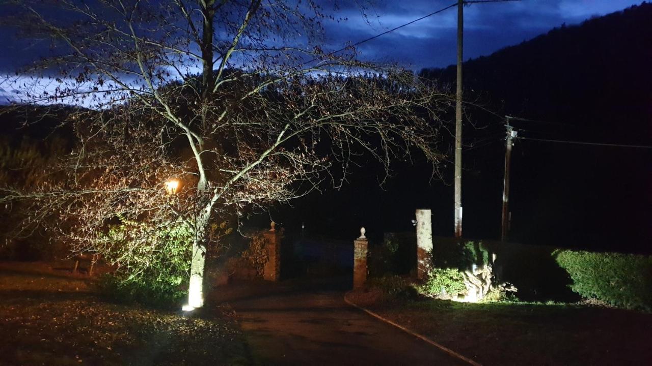 Le Wineck Villa Dambach Exterior photo