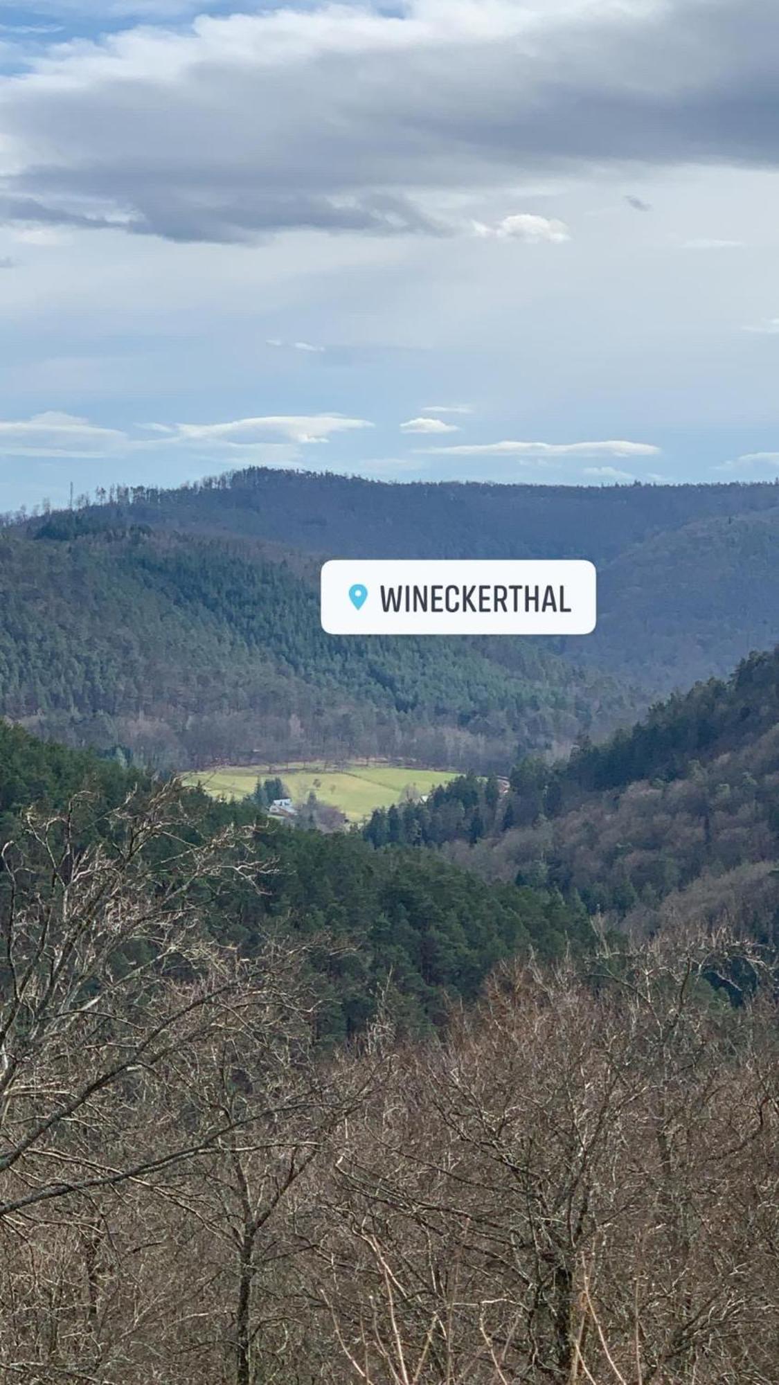 Le Wineck Villa Dambach Exterior photo