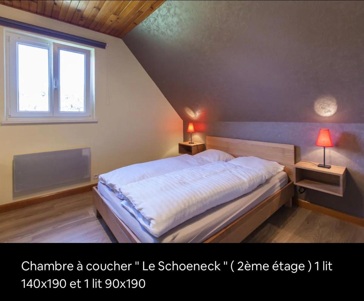Le Wineck Villa Dambach Exterior photo