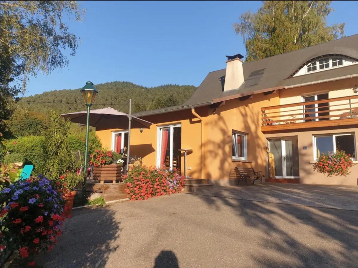 Le Wineck Villa Dambach Exterior photo
