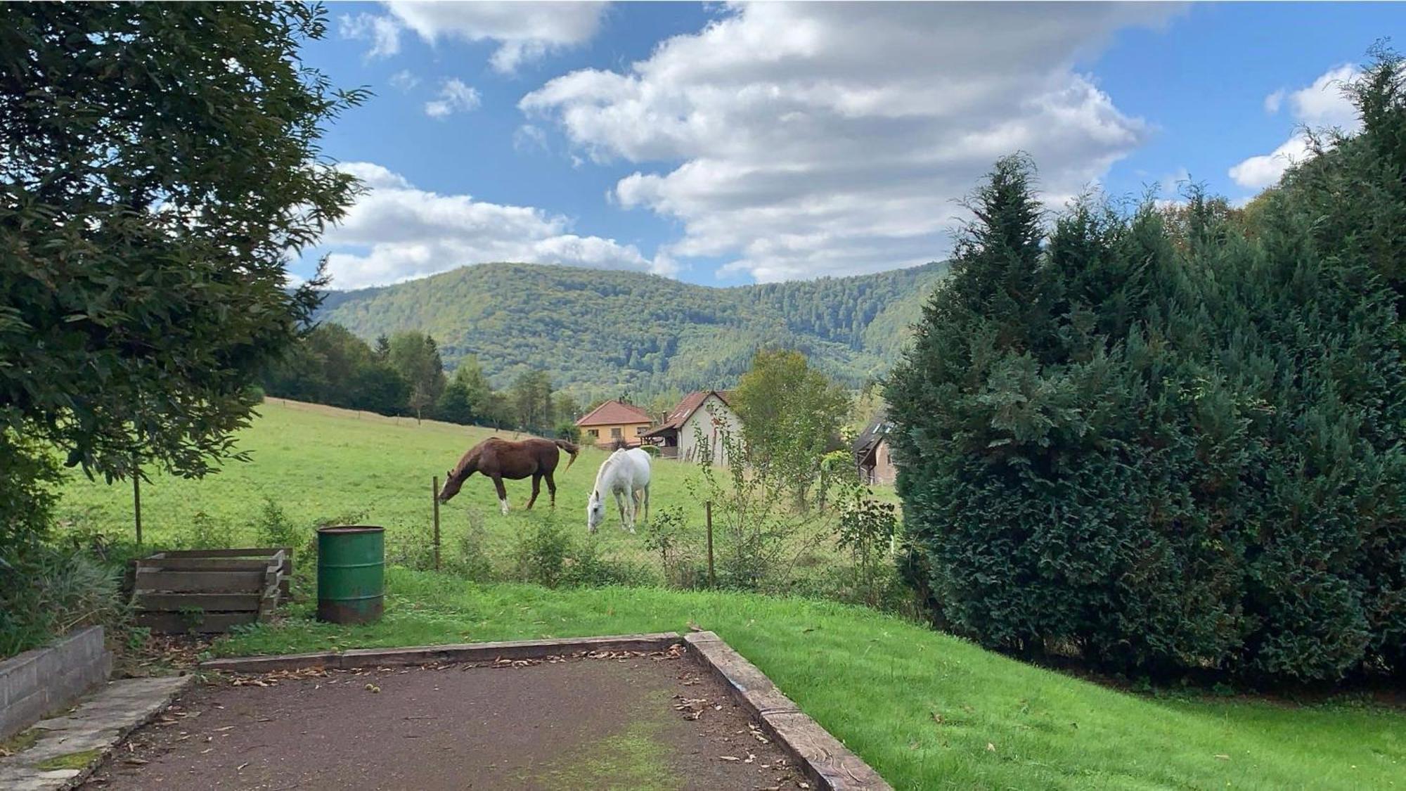 Le Wineck Villa Dambach Exterior photo
