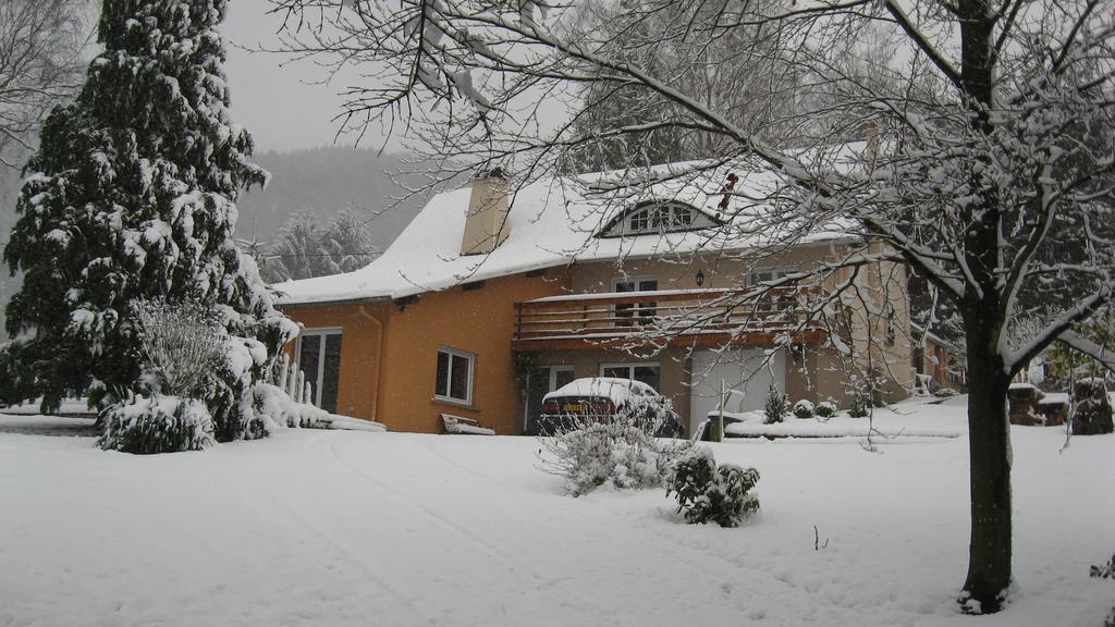 Le Wineck Villa Dambach Exterior photo