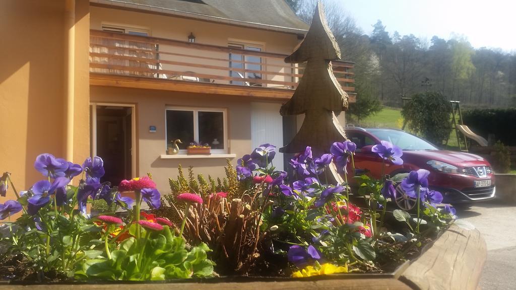 Le Wineck Villa Dambach Exterior photo